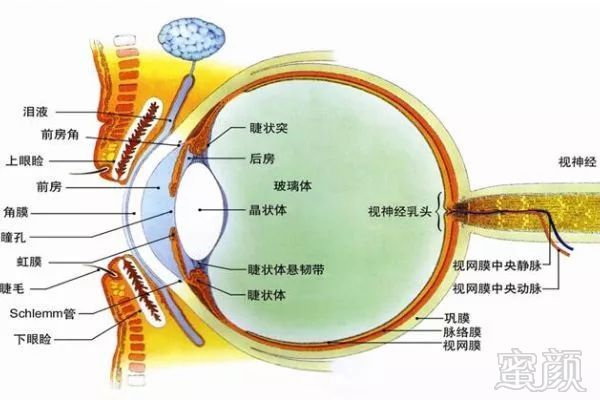 https://img.miyanlife.com/mnt/timg/180508/12254JR1-1.jpg