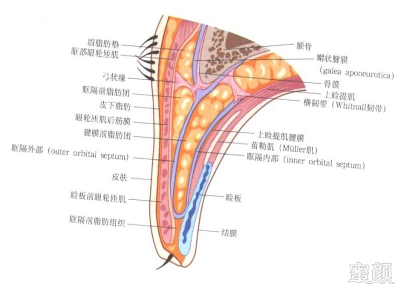 https://img.miyanlife.com/mnt/timg/180508/12254UX6-2.jpg