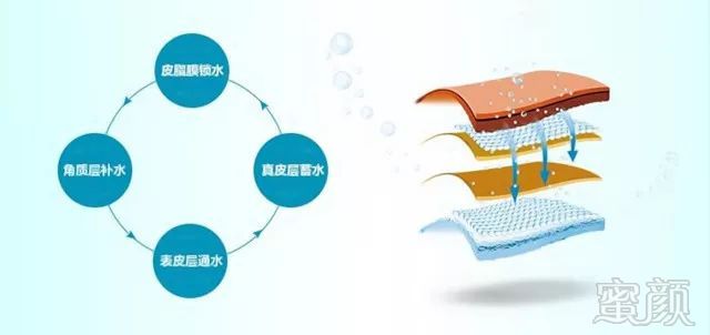 https://img.miyanlife.com/mnt/timg/180508/1245495S0-5.jpg