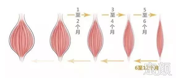 https://img.miyanlife.com/mnt/timg/180509/1141245340-3.jpg