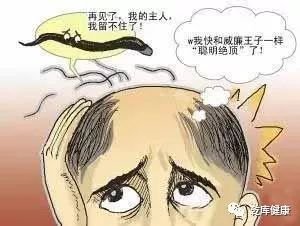 https://img.miyanlife.com/mnt/timg/180509/115J023b-5.jpg