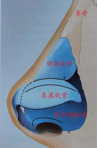 https://img.miyanlife.com/mnt/timg/180510/120R1H09-11.jpg
