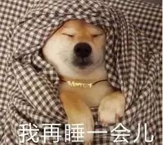 https://img.miyanlife.com/mnt/timg/180513/1125331P0-1.jpg