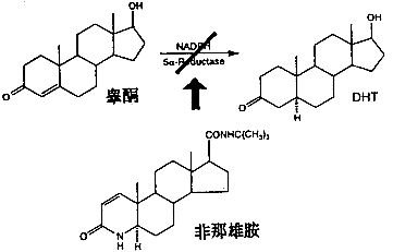 https://img.miyanlife.com/mnt/timg/180515/11335BV2-1.jpg