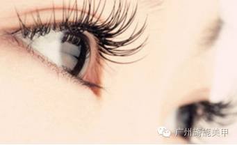 https://img.miyanlife.com/mnt/timg/180516/12261964F-2.jpg