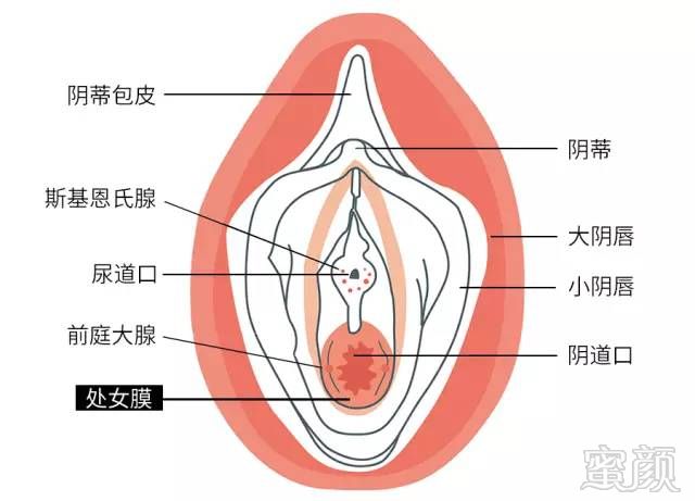 案例图片