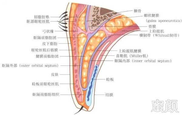 https://img.miyanlife.com/mnt/timg/180516/13030Q520-0.jpg