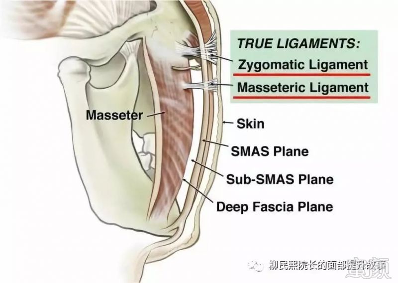 https://img.miyanlife.com/mnt/timg/180518/151T33R0-4.jpg