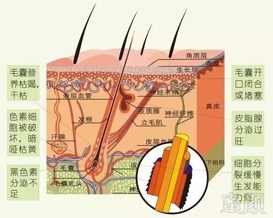 案例图片