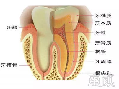 案例图片