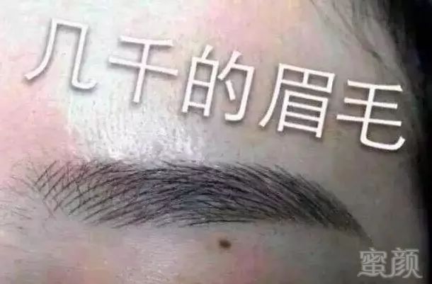 案例图片