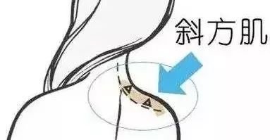 https://img.miyanlife.com/mnt/timg/180520/1216015A9-4.jpg