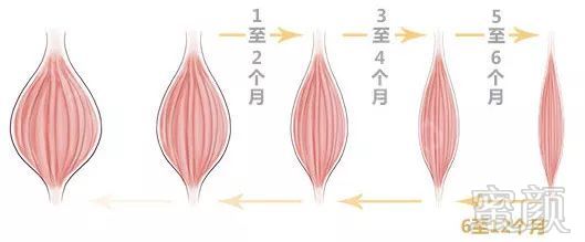 https://img.miyanlife.com/mnt/timg/180521/11015423E-10.jpg
