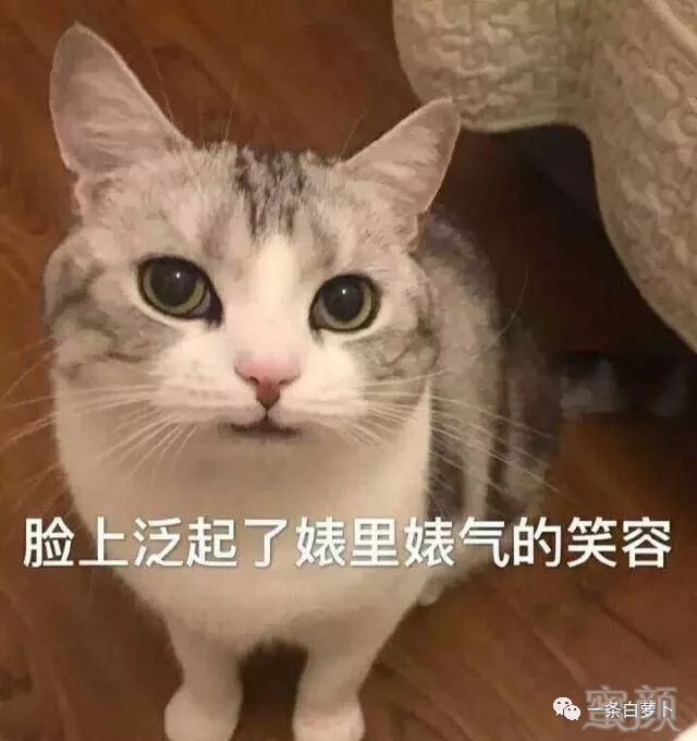 案例图片