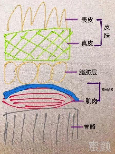 案例图片