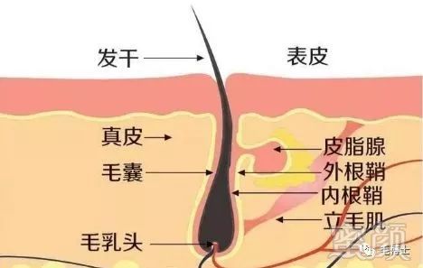 https://img.miyanlife.com/mnt/timg/180523/1143154C7-1.jpg