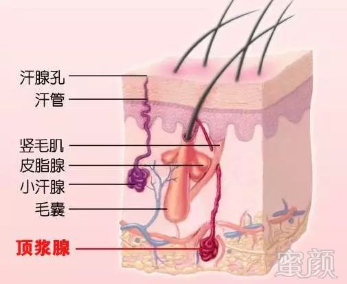https://img.miyanlife.com/mnt/timg/180523/12211421Y-2.jpg