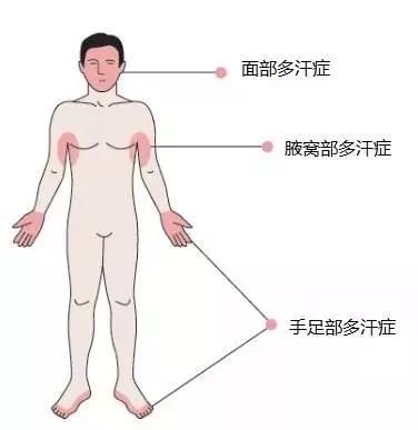 https://img.miyanlife.com/mnt/timg/180525/1224295947-1.jpg