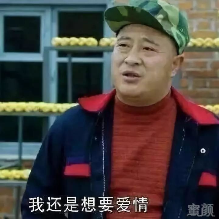 案例图片