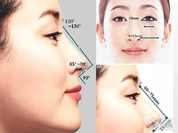 https://img.miyanlife.com/mnt/timg/180526/124Z12U1-12.jpg