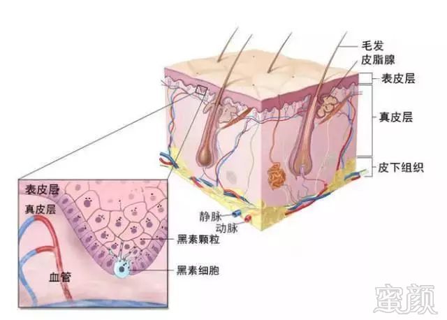 案例图片