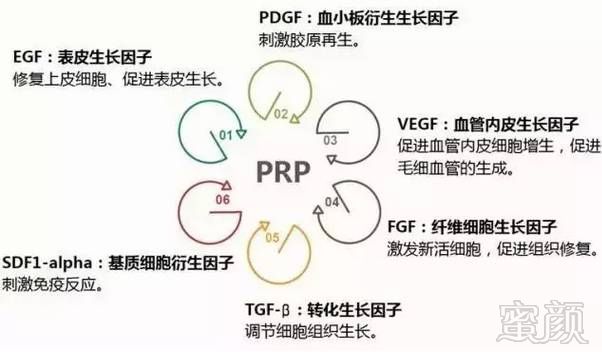 案例图片