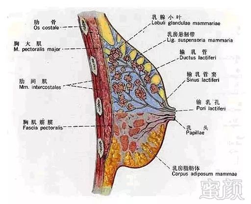 案例图片