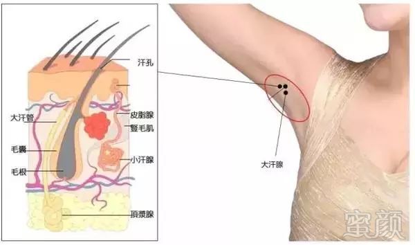 https://img.miyanlife.com/mnt/timg/180528/1249425103-7.jpg