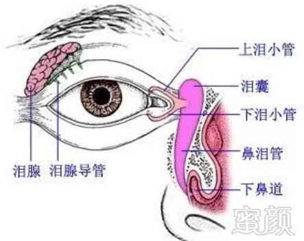 案例图片