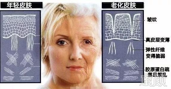 https://img.miyanlife.com/mnt/timg/180529/10211UC3-1.jpg