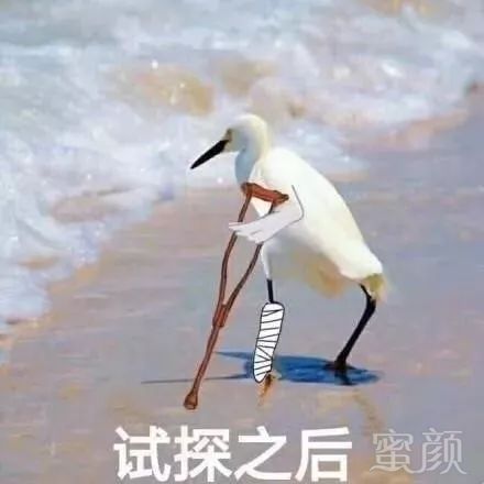 https://img.miyanlife.com/mnt/timg/180529/11203U460-0.jpg