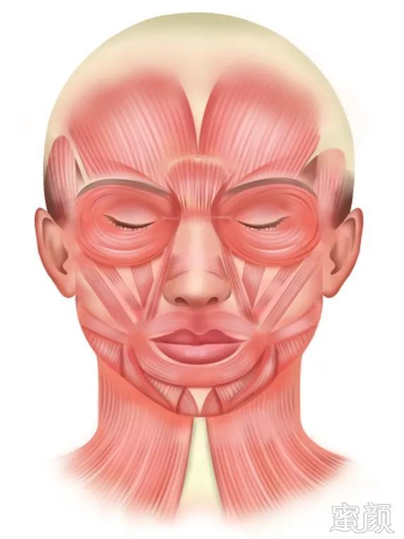 https://img.miyanlife.com/mnt/timg/180530/11505GG5-8.jpg