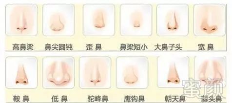 https://img.miyanlife.com/mnt/timg/180530/1225521b7-2.jpg
