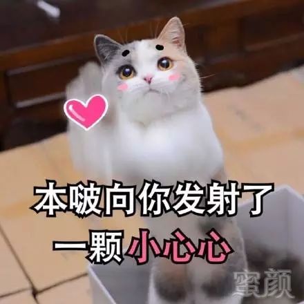 https://img.miyanlife.com/mnt/timg/180531/105U3G42-10.jpg