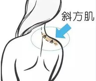 https://img.miyanlife.com/mnt/timg/180531/11312C356-9.jpg