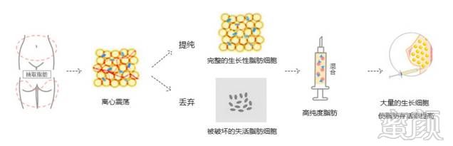 案例图片