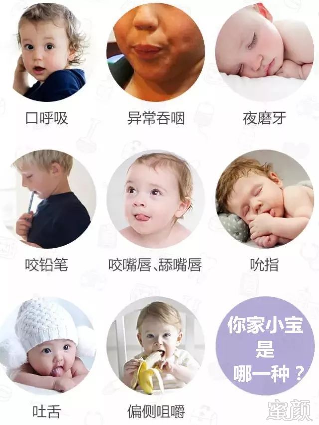 https://img.miyanlife.com/mnt/timg/180601/1115054P7-6.jpg