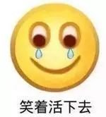 案例图片