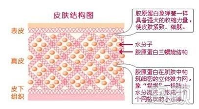 案例图片