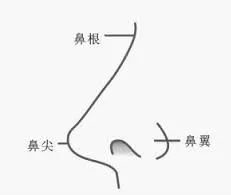https://img.miyanlife.com/mnt/timg/180603/1156214P2-9.jpg
