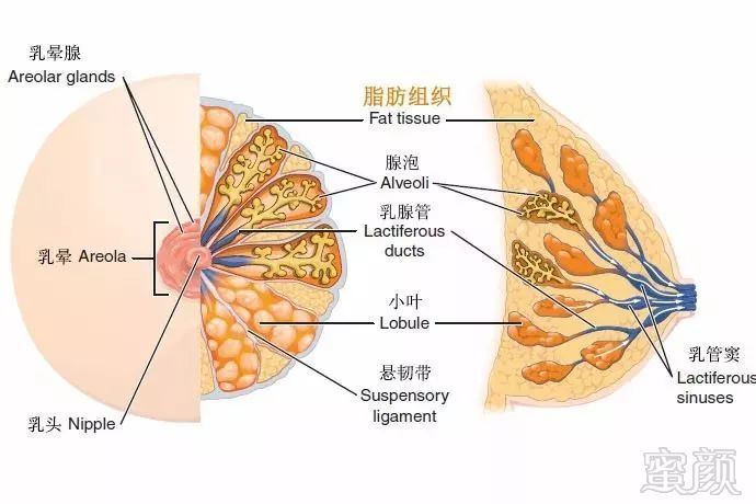 案例图片