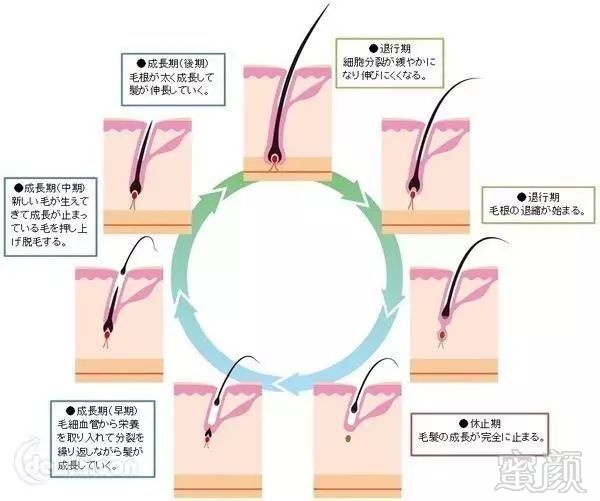 https://img.miyanlife.com/mnt/timg/180604/120504G14-10.jpg