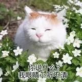 https://img.miyanlife.com/mnt/timg/180604/1233211T1-1.jpg