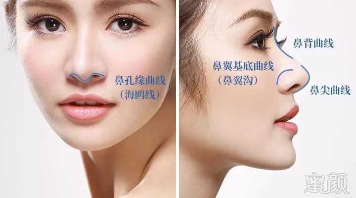 案例图片