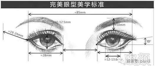 案例图片