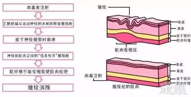 https://img.miyanlife.com/mnt/timg/180605/105J02328-5.jpg