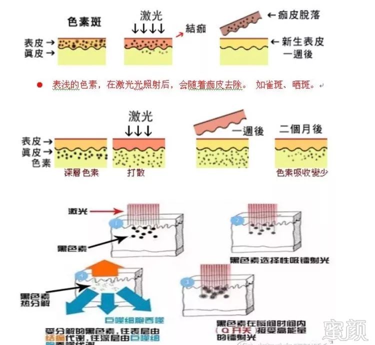 案例图片