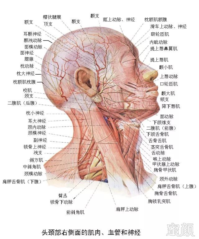 案例图片