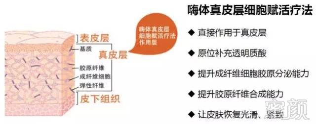 https://img.miyanlife.com/mnt/timg/180607/124I5AL-5.jpg