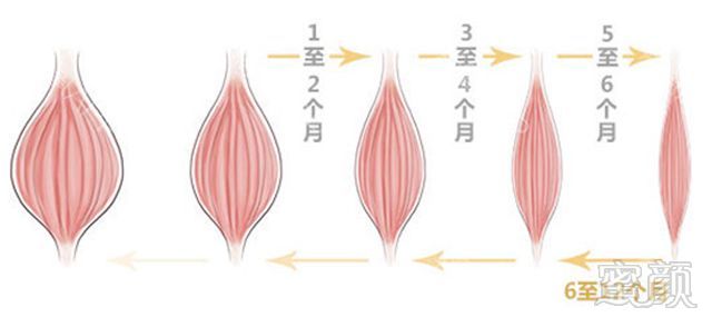 https://img.miyanlife.com/mnt/timg/180607/130Ra535-5.jpg